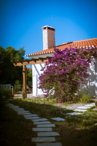 Endless Summer Surf Hostel
