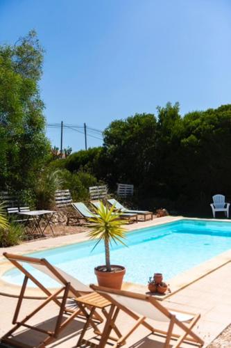 Endless Summer Surf Hostel