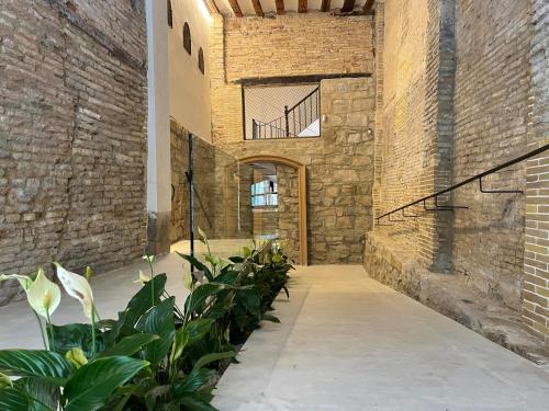 Casa Bidaiari by Clabao