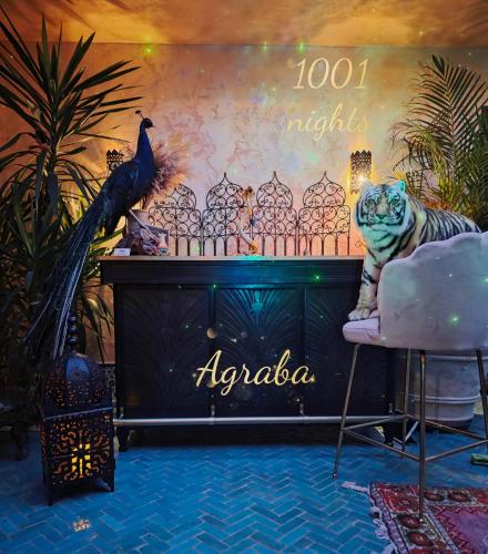 Riad Agraba, 1001 nights