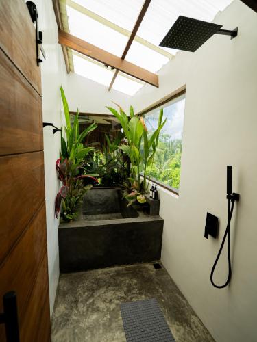 Villa Cali
