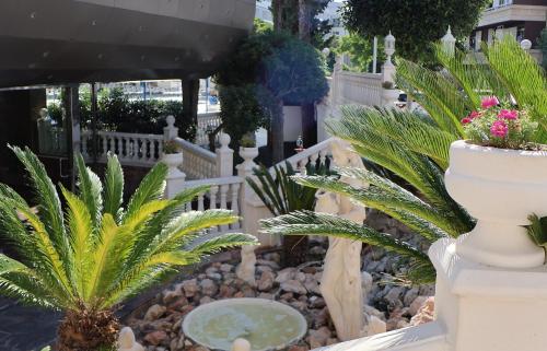 Hotel Santa Mónica Playa