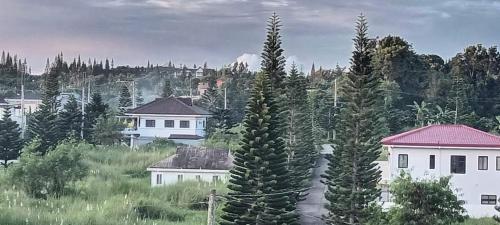Kua's Pad
