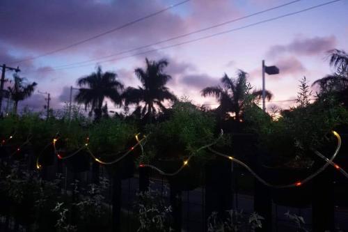 Kua's Pad