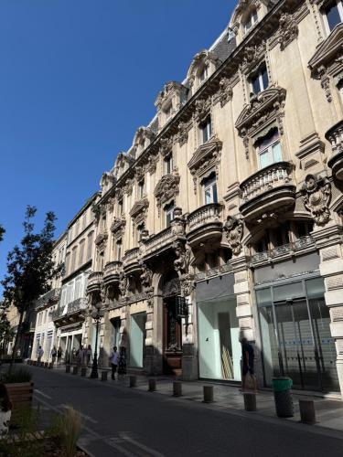Auberge de jeunesse HI Avignon