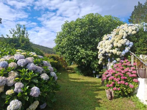 Casa Rural & Parrillada Miguel