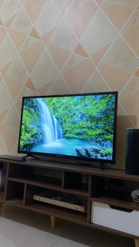 Scarlet Stay