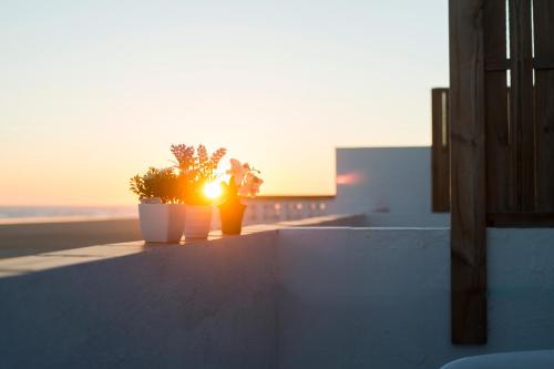 Apartamentos Calypso