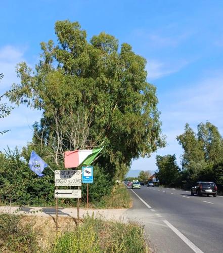 Agriturismo Poggio all'Olivo