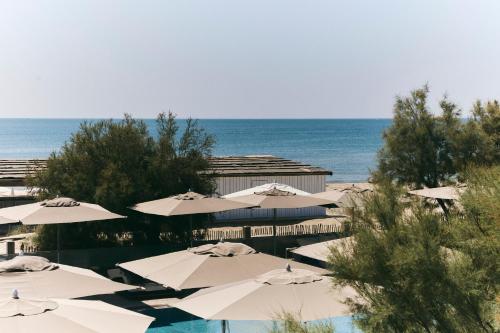 Hôtel Plage Palace