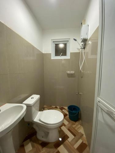 Sir Williams Transient D