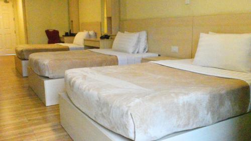 Olive Town Center and Hotel