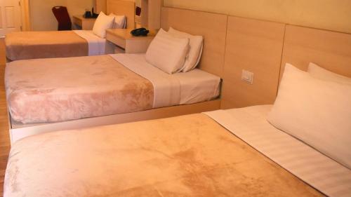 Olive Town Center and Hotel