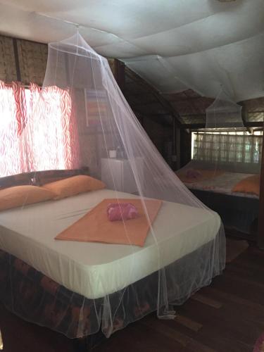 Amami Beachfront Bungalows & Villa