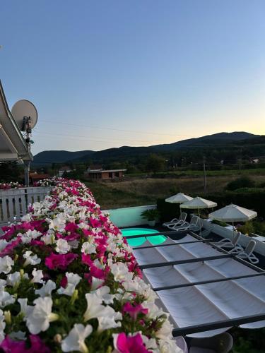 Pool Apartments Plitvice Lakes