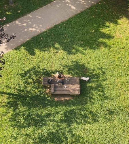 Green Nest Hostel Uba Aterpetxea