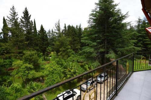 Hostel Botanical Garden