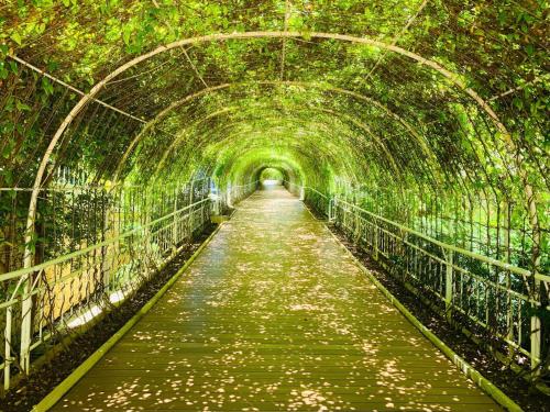 Pinnacle Resort & Villas