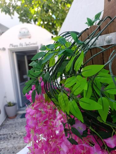 The Muse Of Santorini - Jacuzzi Suites