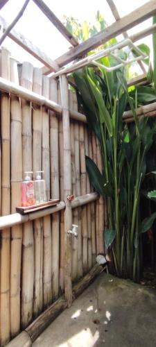 Tribu Kihud "Experience Simple Living