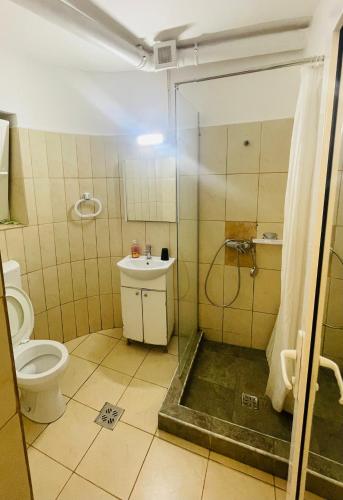 Vila Stefan Pescarusului Costinesti