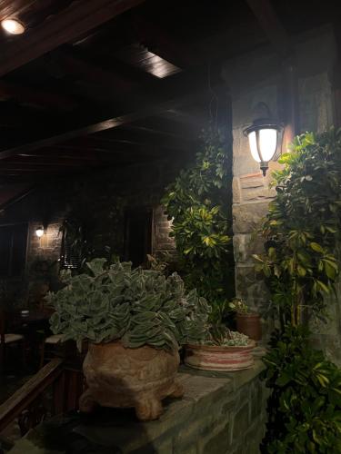 Hotel Kaceli