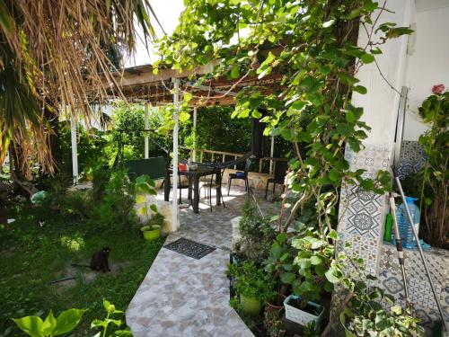 Family Нotel Banuri