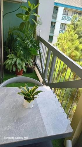 Pine Suites Tagaytay Luxury Spacious 2 Bedroom Condo With Balcony Amenities View