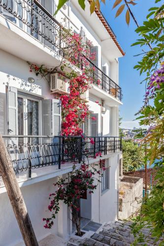 Argo Skiathos Pension