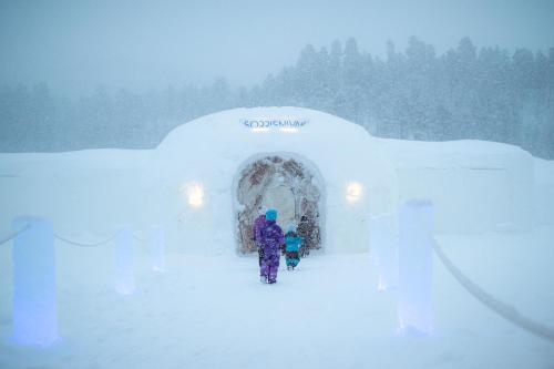Igloo