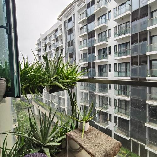 LDN 6E -Two Palm Tree