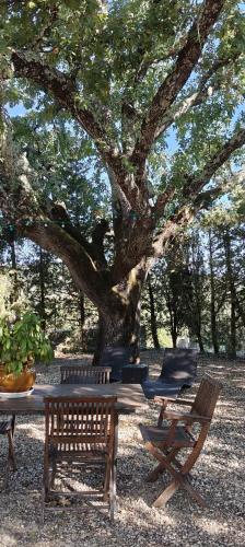 Gîtes Le Mas du Vieux Chêne