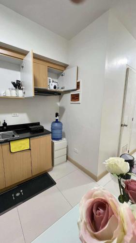 Central Near Airport SM Abreeza MDMRC