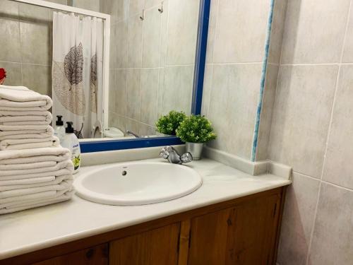 La Tortuga Lodging RoomS