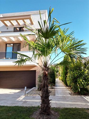 Mamaia Moments Villa