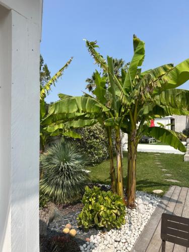 Chambres d’hôtes Villa Le Sud