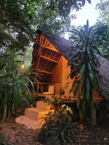 Lazy Lizard Hostel