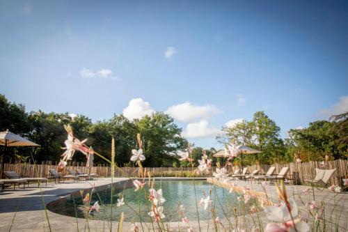 Les Hayes en Sologne