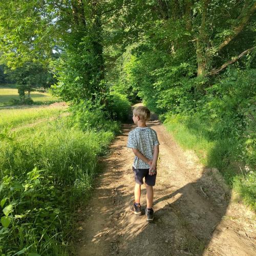 Gîte Rêve Vert with private pool and airco