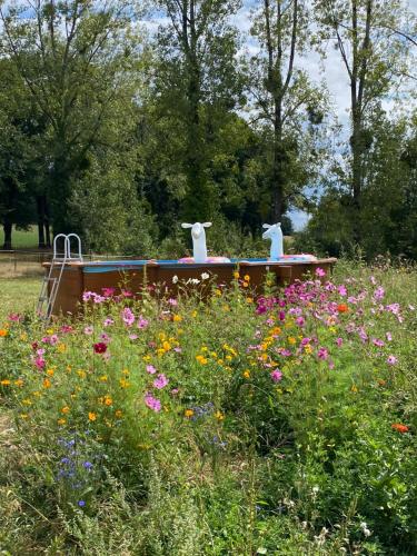 Loire Valley Llama Farm Stay