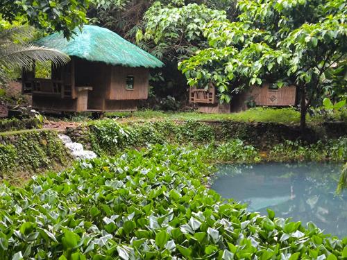 EL BOSQUE RESORT CORON