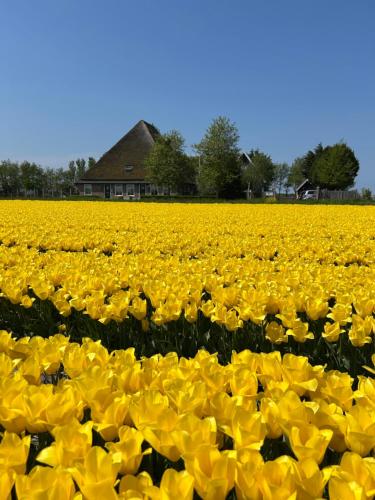 Bed & Breakfast Idylle Aan Zee