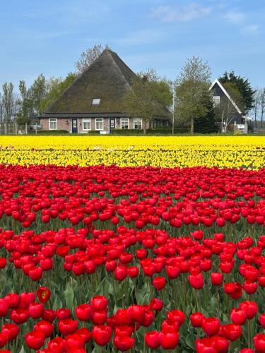 Bed & Breakfast Idylle Aan Zee
