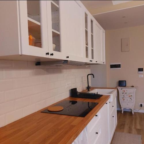 A CASA DI BICE&SISSI - vicino all'Allianz Stadium, centro città, Parco Dora, facoltà di informatica