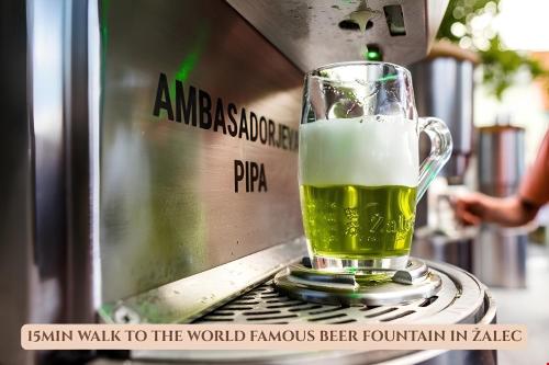 Bed & Breakfast Dvorec