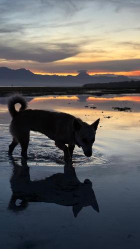 Kalye Siquijor Hostel
