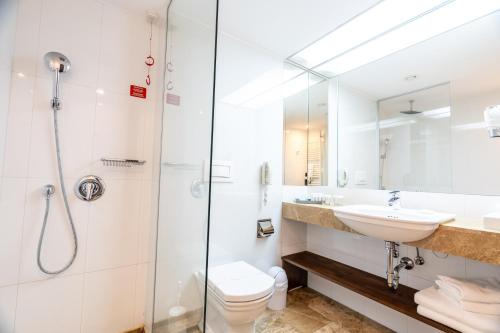 Hotel International Sinaia