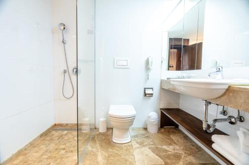 Hotel International Sinaia