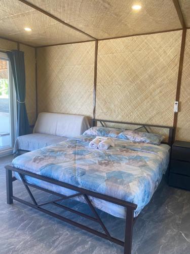 Peaceful turtle camp