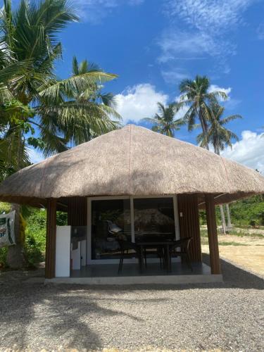 Peaceful turtle camp